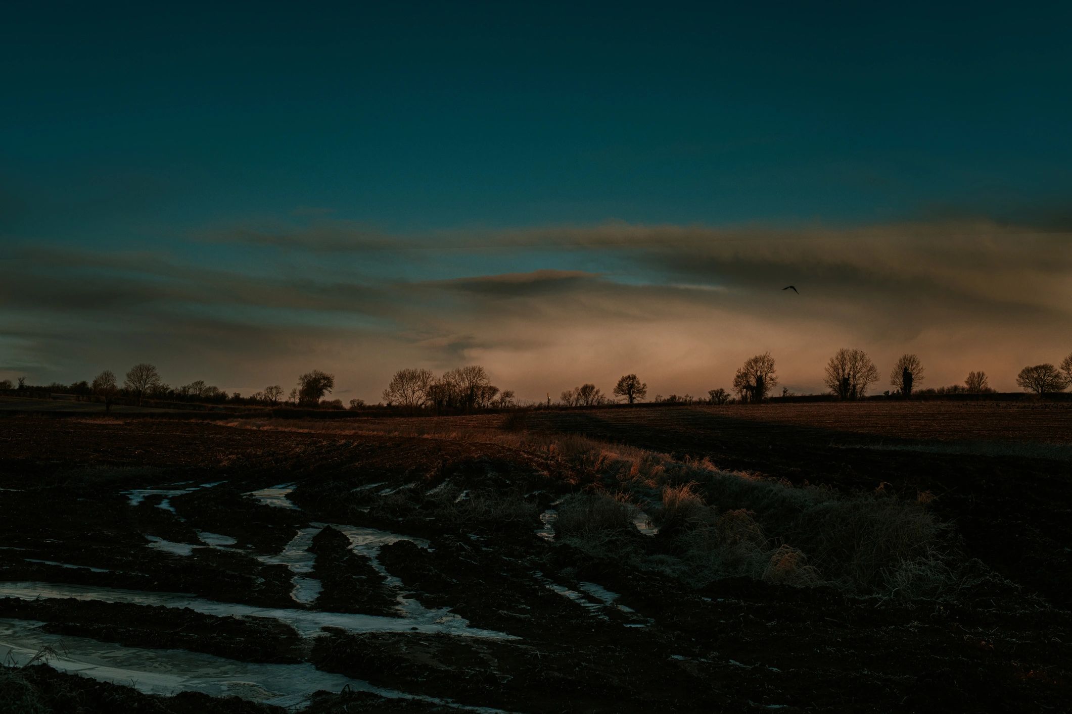 Wide minimal landscape at sunrise over a frosty field