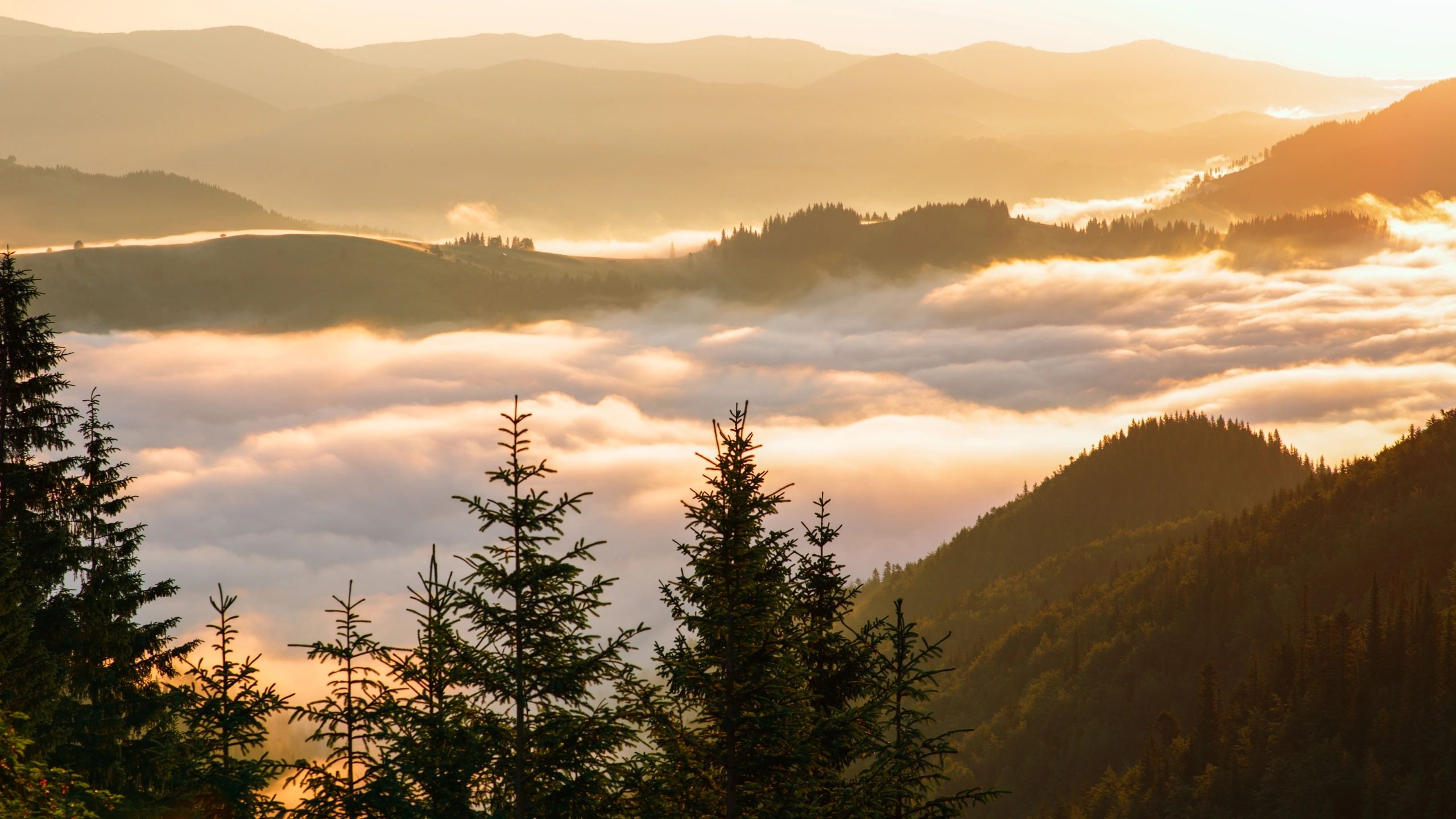Clouds drifting between mountain peaks at sunrise